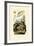 Rice, 1833-39-null-Framed Giclee Print