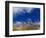 Rice Against Blue Sky in Metshina Village, Wangdi, Bhutan-Keren Su-Framed Photographic Print