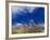 Rice Against Blue Sky in Metshina Village, Wangdi, Bhutan-Keren Su-Framed Photographic Print