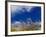 Rice Against Blue Sky in Metshina Village, Wangdi, Bhutan-Keren Su-Framed Photographic Print