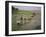 Rice Farmers-Bjorn Svensson-Framed Photographic Print