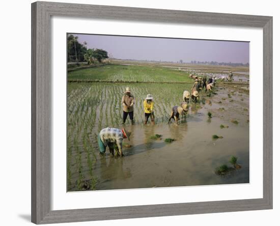 Rice Farmers-Bjorn Svensson-Framed Photographic Print