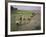 Rice Farmers-Bjorn Svensson-Framed Photographic Print