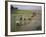 Rice Farmers-Bjorn Svensson-Framed Photographic Print