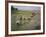 Rice Farmers-Bjorn Svensson-Framed Photographic Print