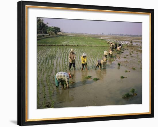 Rice Farmers-Bjorn Svensson-Framed Photographic Print