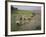 Rice Farmers-Bjorn Svensson-Framed Photographic Print