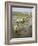 Rice Farmers-Bjorn Svensson-Framed Photographic Print