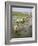 Rice Farmers-Bjorn Svensson-Framed Photographic Print