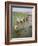 Rice Farmers-Bjorn Svensson-Framed Photographic Print