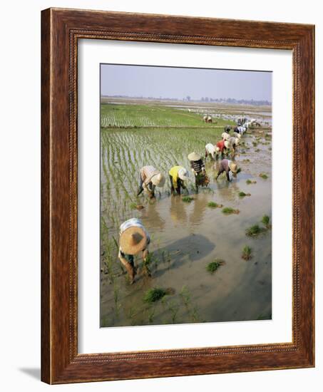 Rice Farmers-Bjorn Svensson-Framed Photographic Print