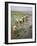 Rice Farmers-Bjorn Svensson-Framed Photographic Print