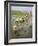 Rice Farmers-Bjorn Svensson-Framed Photographic Print