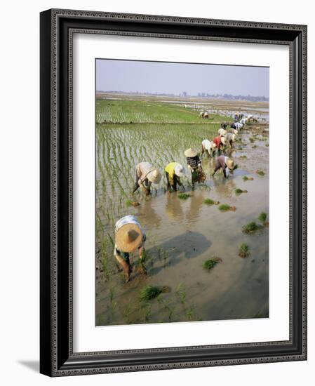 Rice Farmers-Bjorn Svensson-Framed Photographic Print