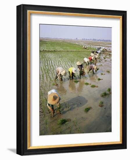 Rice Farmers-Bjorn Svensson-Framed Photographic Print