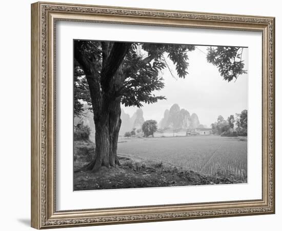 Rice Field #1-Monte Nagler-Framed Photographic Print