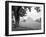 Rice Field #1-Monte Nagler-Framed Photographic Print