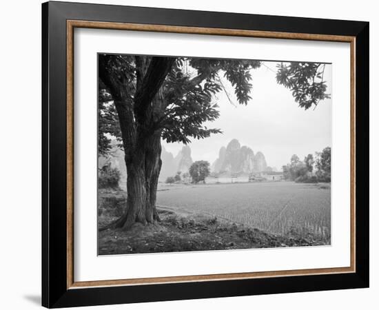 Rice Field #1-Monte Nagler-Framed Photographic Print