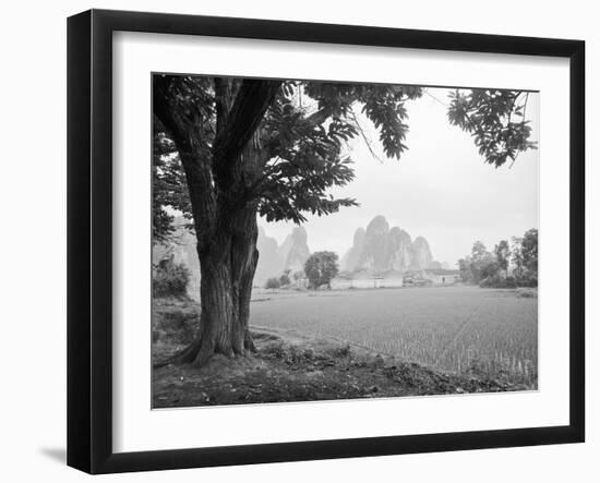 Rice Field #1-Monte Nagler-Framed Photographic Print