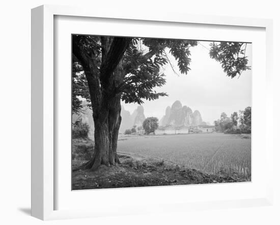 Rice Field #1-Monte Nagler-Framed Photographic Print