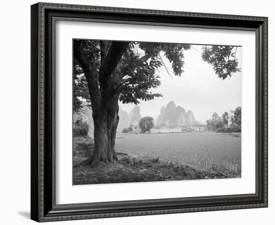 Rice Field #1-Monte Nagler-Framed Photographic Print