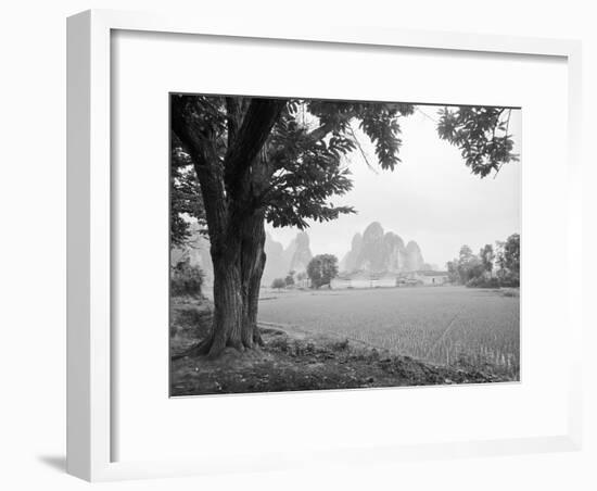 Rice Field #1-Monte Nagler-Framed Photographic Print