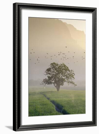 Rice-Field in Karstic Landscape, Hpa An, Kayin State (Karen State), Myanmar (Burma), Asia-Nathalie Cuvelier-Framed Photographic Print