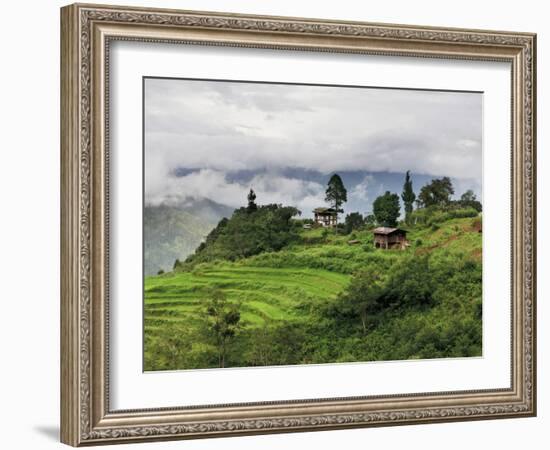 Rice Fields and Terraces Spread Out in All Areas Between the Mountains, Bhutan-Tom Norring-Framed Photographic Print