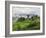 Rice Fields and Terraces Spread Out in All Areas Between the Mountains, Bhutan-Tom Norring-Framed Photographic Print