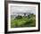 Rice Fields and Terraces Spread Out in All Areas Between the Mountains, Bhutan-Tom Norring-Framed Photographic Print