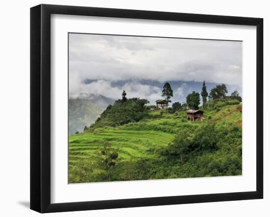 Rice Fields and Terraces Spread Out in All Areas Between the Mountains, Bhutan-Tom Norring-Framed Photographic Print