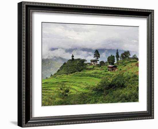 Rice Fields and Terraces Spread Out in All Areas Between the Mountains, Bhutan-Tom Norring-Framed Photographic Print