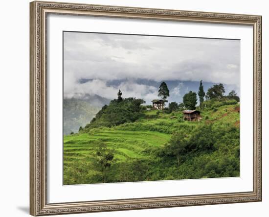 Rice Fields and Terraces Spread Out in All Areas Between the Mountains, Bhutan-Tom Norring-Framed Photographic Print