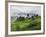 Rice Fields and Terraces Spread Out in All Areas Between the Mountains, Bhutan-Tom Norring-Framed Photographic Print