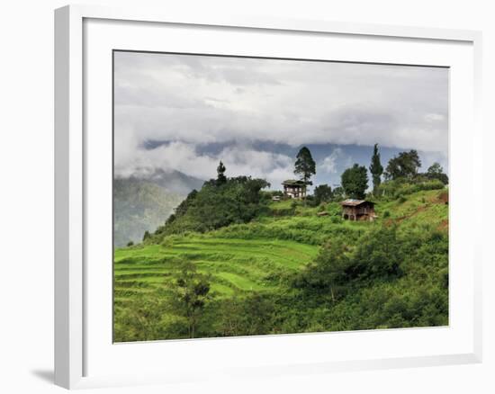 Rice Fields and Terraces Spread Out in All Areas Between the Mountains, Bhutan-Tom Norring-Framed Photographic Print