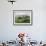 Rice Fields and Terraces Spread Out in All Areas Between the Mountains, Bhutan-Tom Norring-Framed Photographic Print displayed on a wall