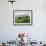 Rice Fields and Terraces Spread Out in All Areas Between the Mountains, Bhutan-Tom Norring-Framed Photographic Print displayed on a wall