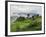 Rice Fields and Terraces Spread Out in All Areas Between the Mountains, Bhutan-Tom Norring-Framed Photographic Print