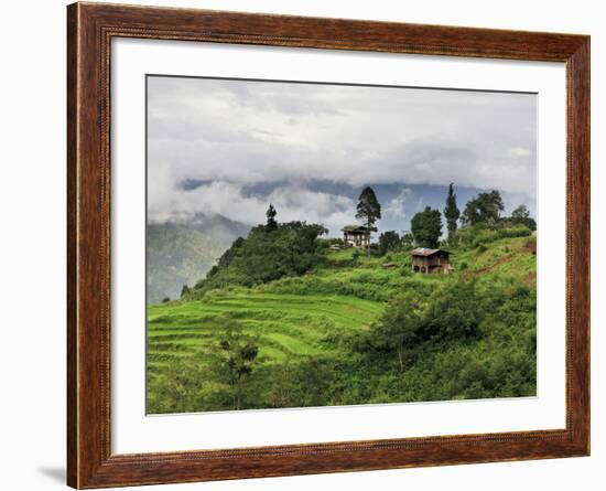 Rice Fields and Terraces Spread Out in All Areas Between the Mountains, Bhutan-Tom Norring-Framed Photographic Print