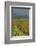 Rice Fields at the Foot of the Gunung Agung-Christoph Mohr-Framed Photographic Print