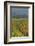 Rice Fields at the Foot of the Gunung Agung-Christoph Mohr-Framed Photographic Print