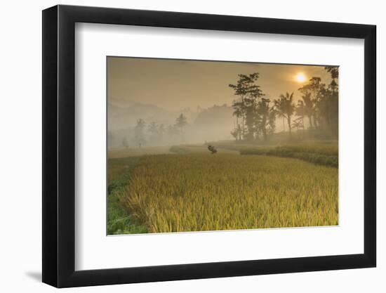 Rice Fields at the Foot of the Gunung Agung-Christoph Mohr-Framed Photographic Print