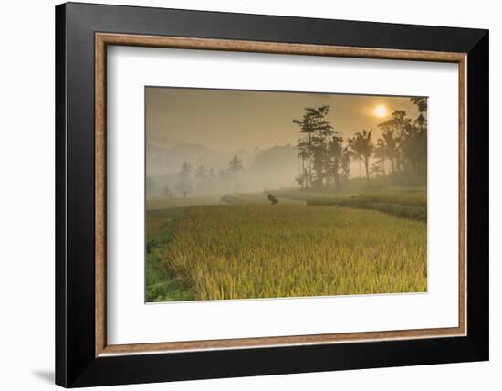 Rice Fields at the Foot of the Gunung Agung-Christoph Mohr-Framed Photographic Print