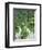 Rice Fields, Central Bali, Indonesia-Peter Adams-Framed Photographic Print