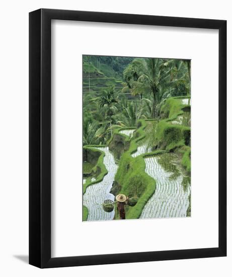 Rice Fields, Central Bali, Indonesia-Peter Adams-Framed Photographic Print