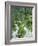 Rice Fields, Central Bali, Indonesia-Peter Adams-Framed Photographic Print