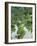 Rice Fields, Central Bali, Indonesia-Peter Adams-Framed Photographic Print