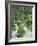 Rice Fields, Central Bali, Indonesia-Peter Adams-Framed Photographic Print