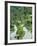 Rice Fields, Central Bali, Indonesia-Peter Adams-Framed Photographic Print