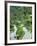 Rice Fields, Central Bali, Indonesia-Peter Adams-Framed Photographic Print